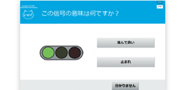 Safe drive skill test